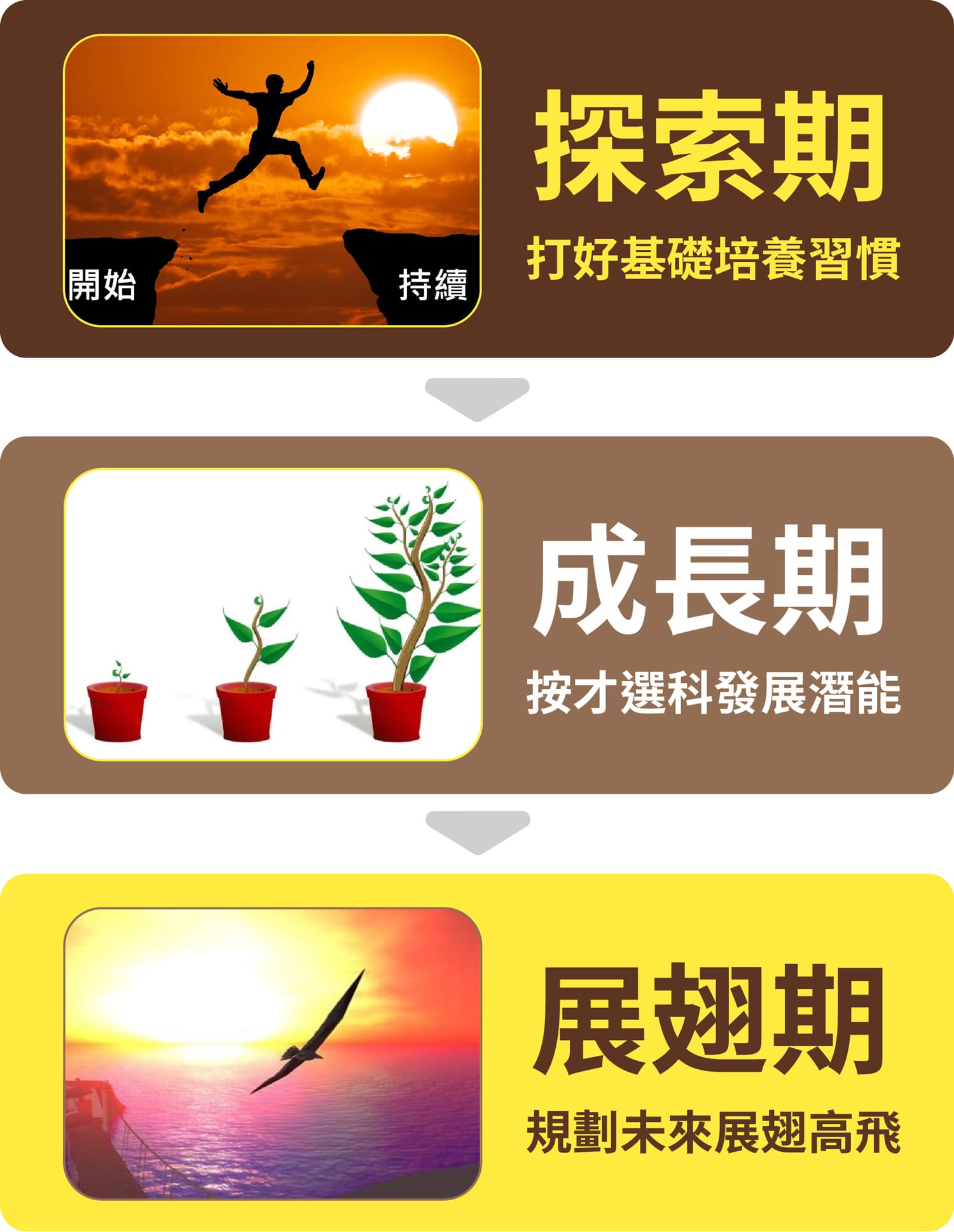 學習藍圖m